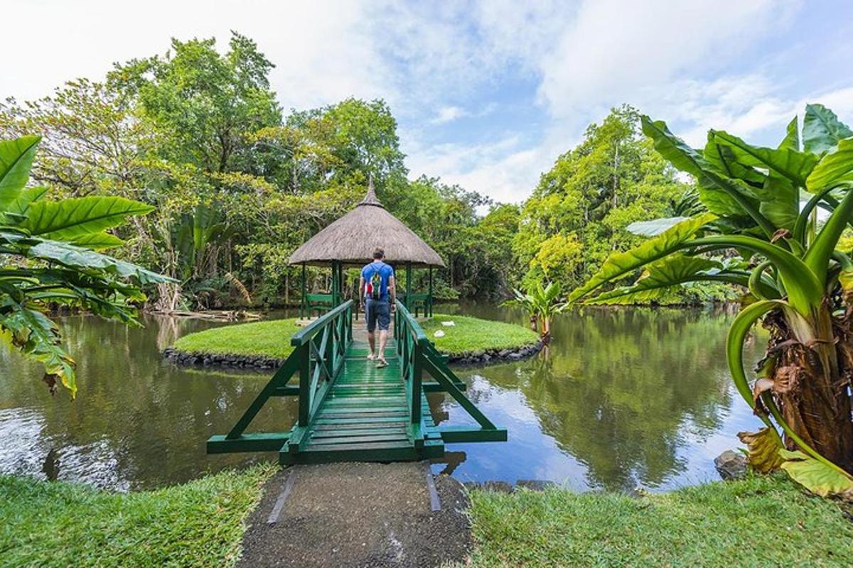 um homem atravessando uma ponte sobre um lago