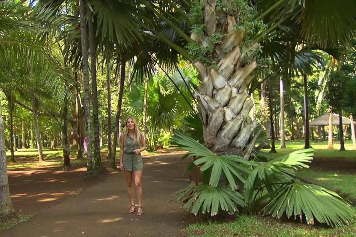 uma mulher está parada ao lado de uma palmeira
