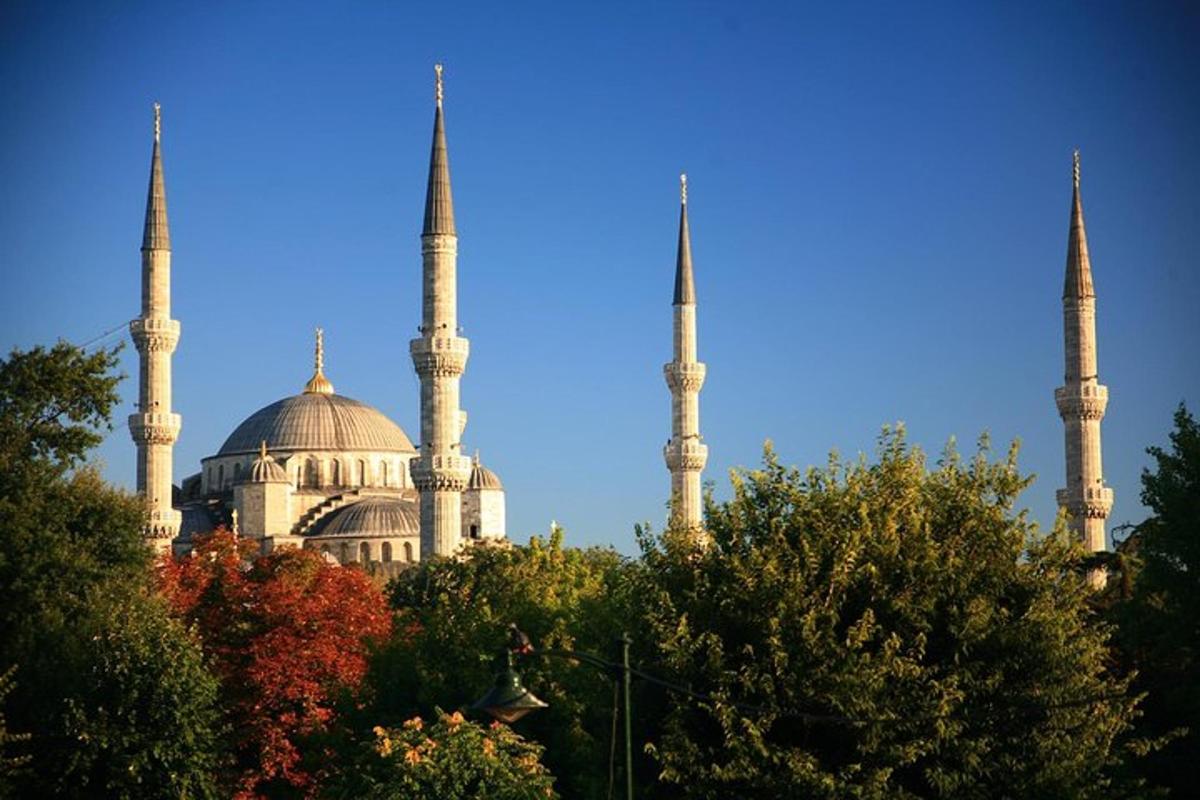 isang gusali na may tatlong mosque na may mga puno sa harapan