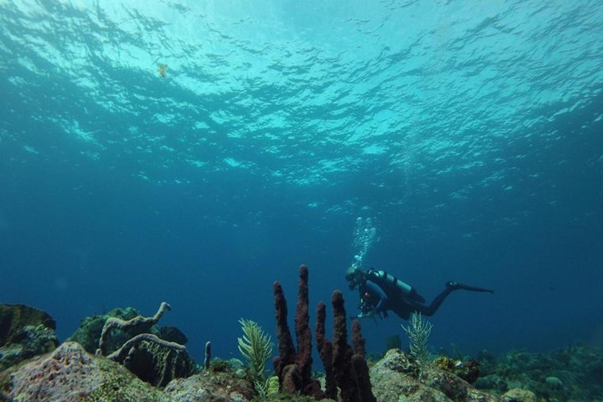 Lankytinos vietos ar pramogos nuotrauka numeris 2