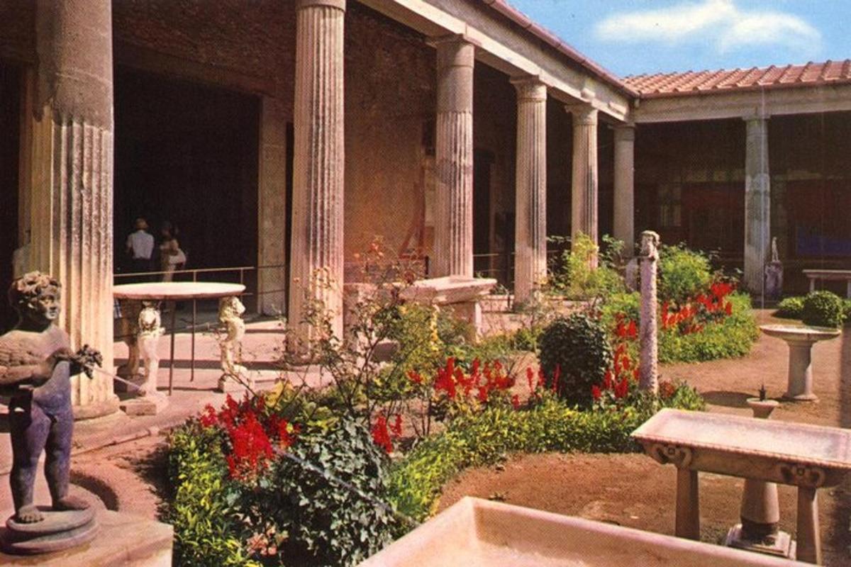 un giardino con fiori rossi in un edificio