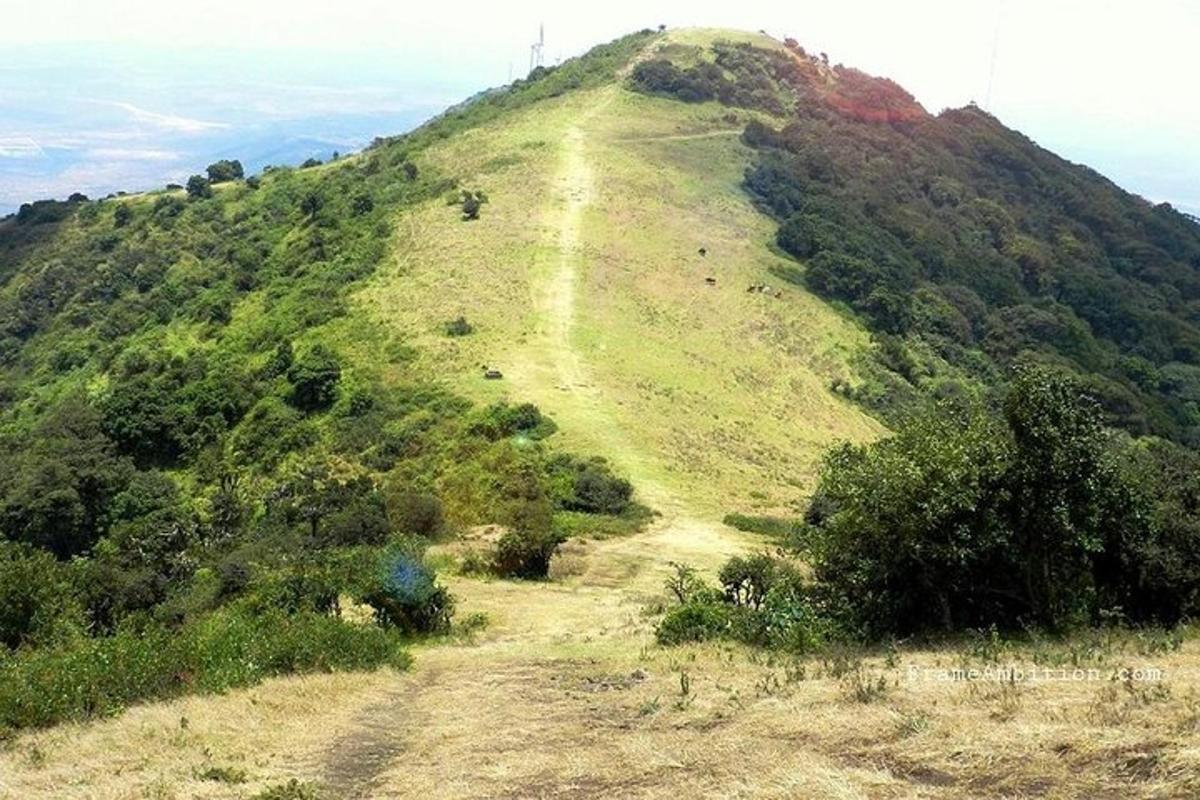 uma estrada de terra em uma colina com árvores