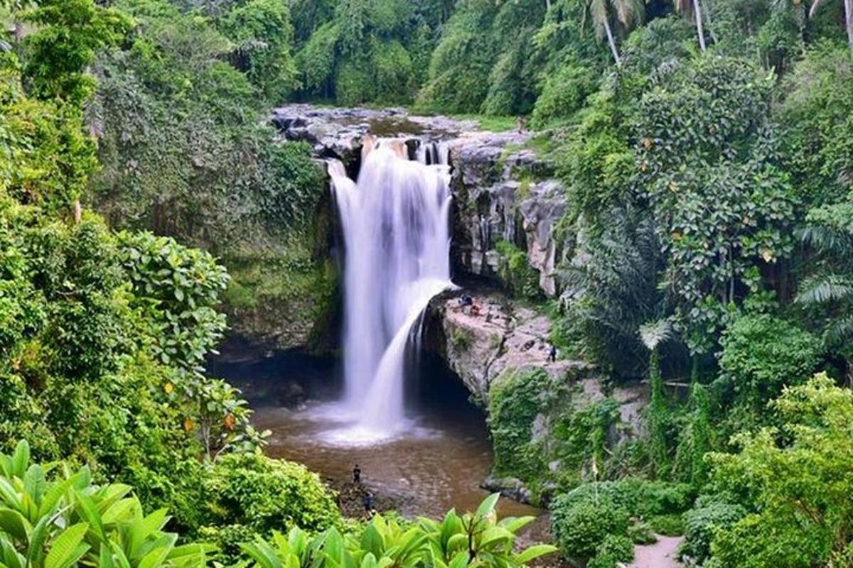 a waterfall in the middle of a forest