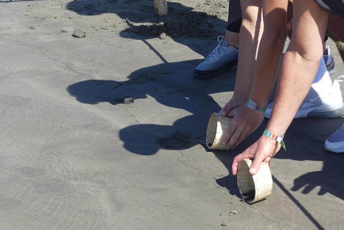 two people are standing on the beach with their shoes