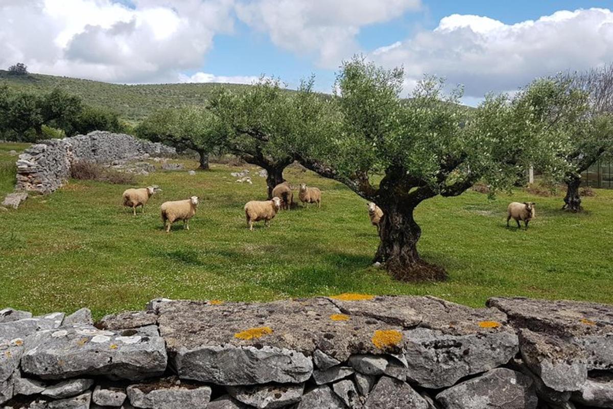 Turistik nokta fotoğrafı 7