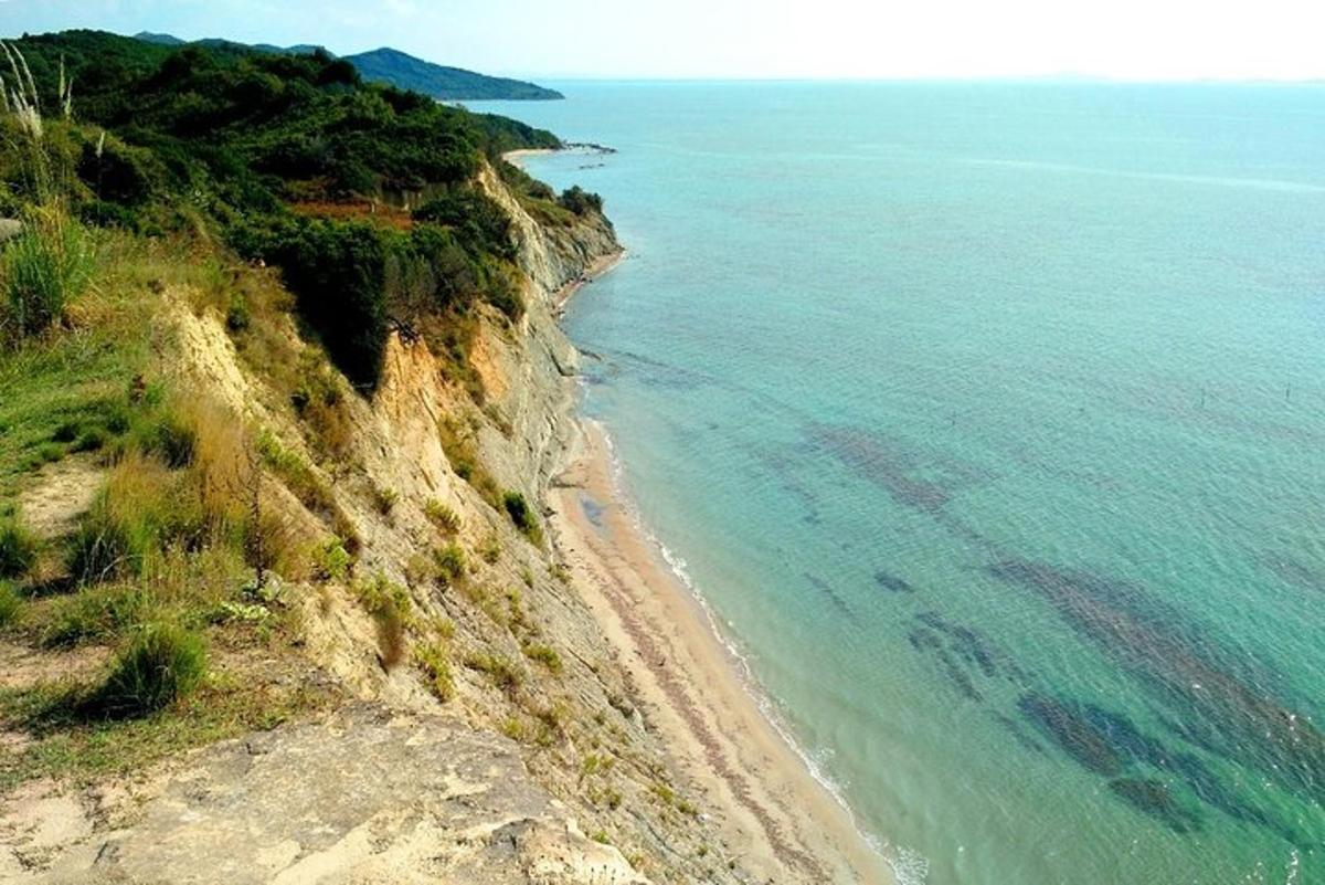 zračni pogled na plažo in ocean