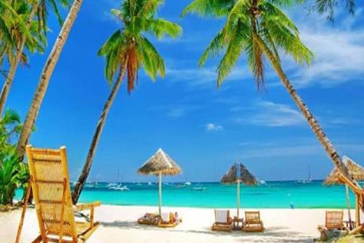 a beach with chairs and palm trees and the ocean