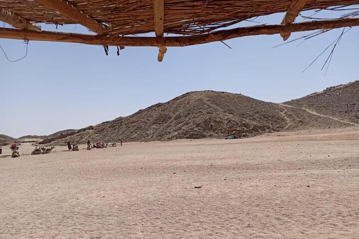 una vista d'un desert amb un turó al fons
