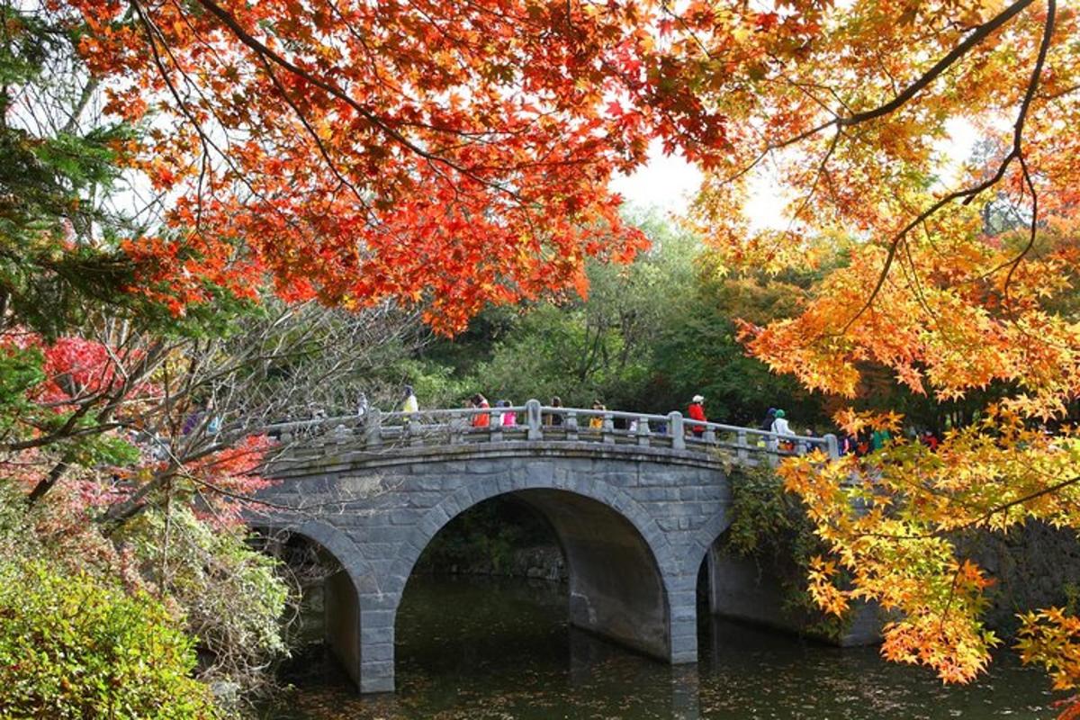 un ponte sopra un fiume con persone che ci camminano sopra