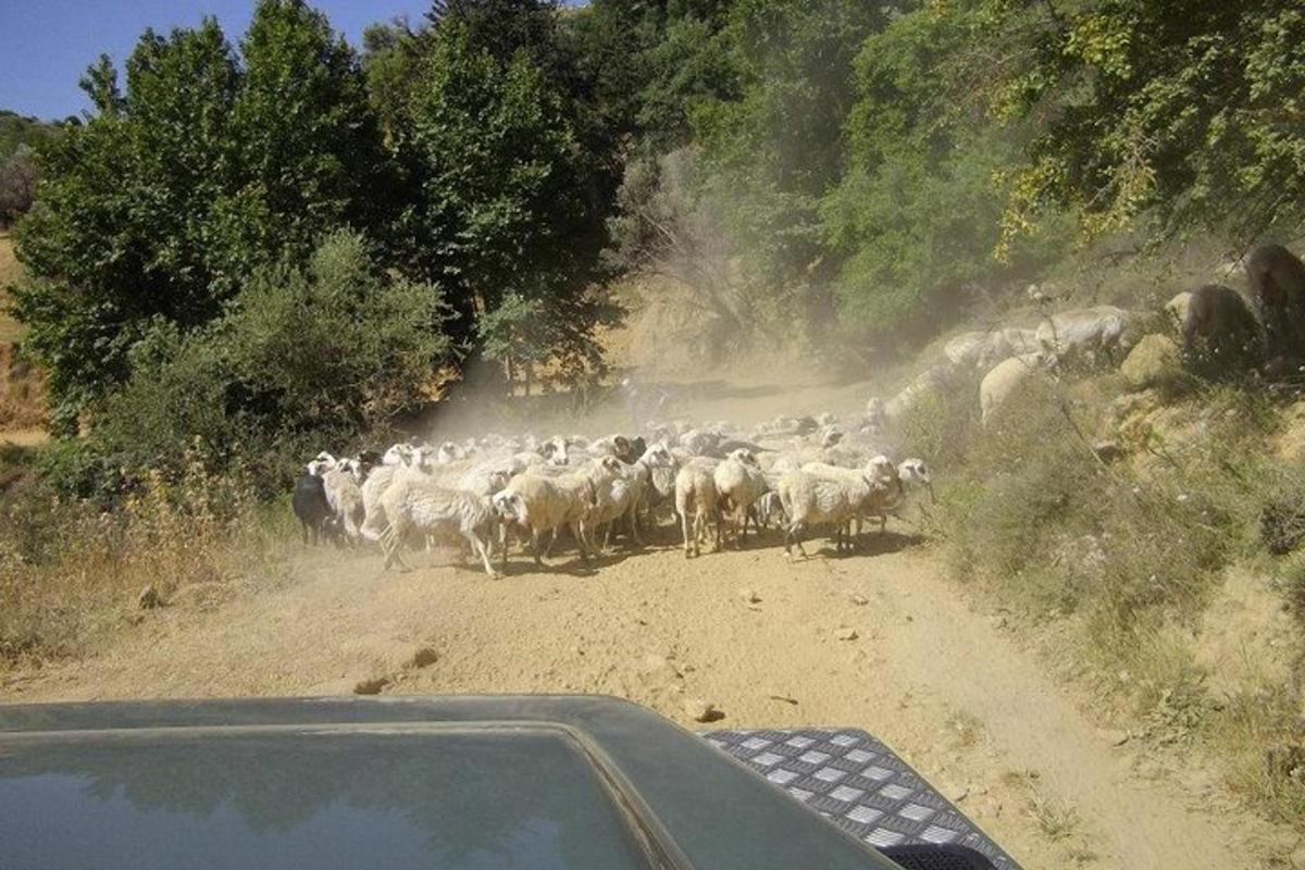 Fotografia da atração 6