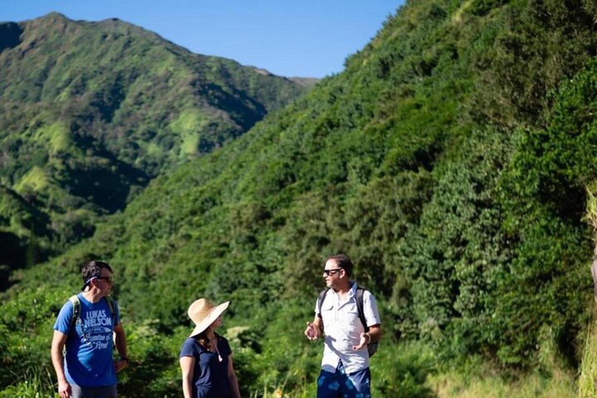 un gruppo di persone che camminano giù per una collina