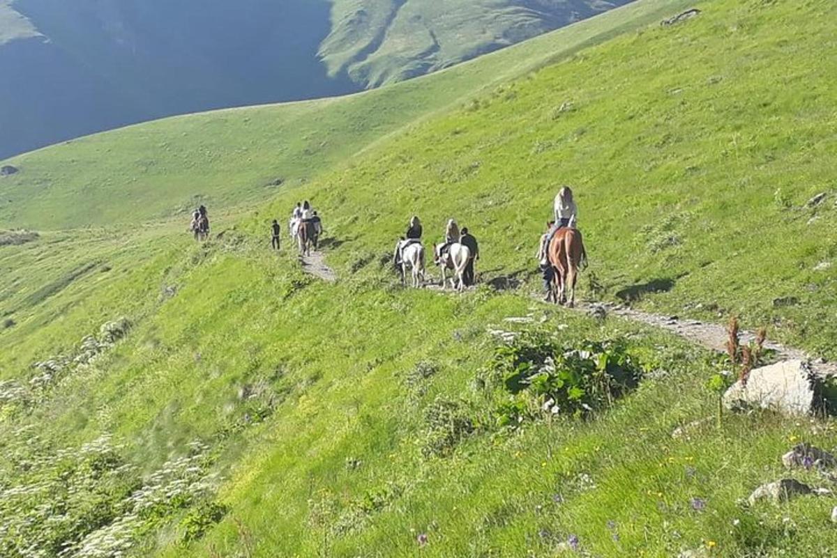 un gruppo di persone a cavallo su una collina erbosa
