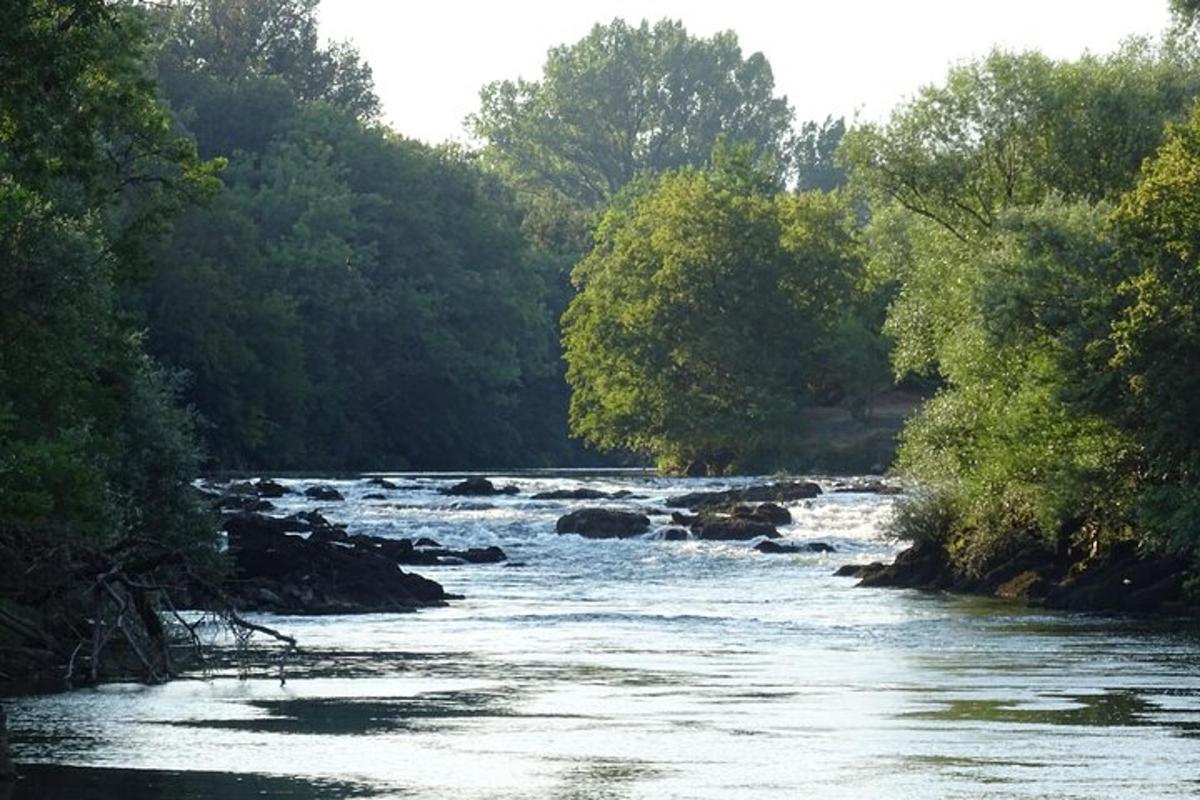 un fiume con rocce e alberi ai lati