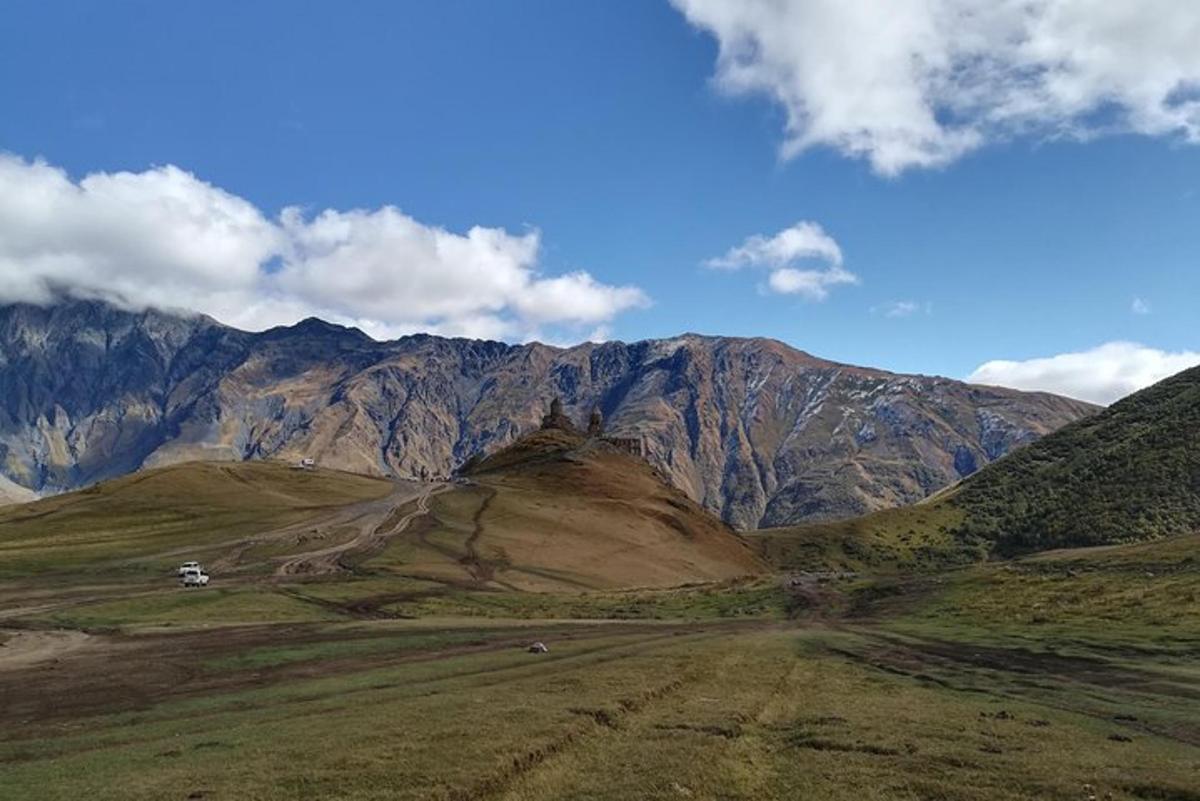 un campo con una montagna sullo sfondo