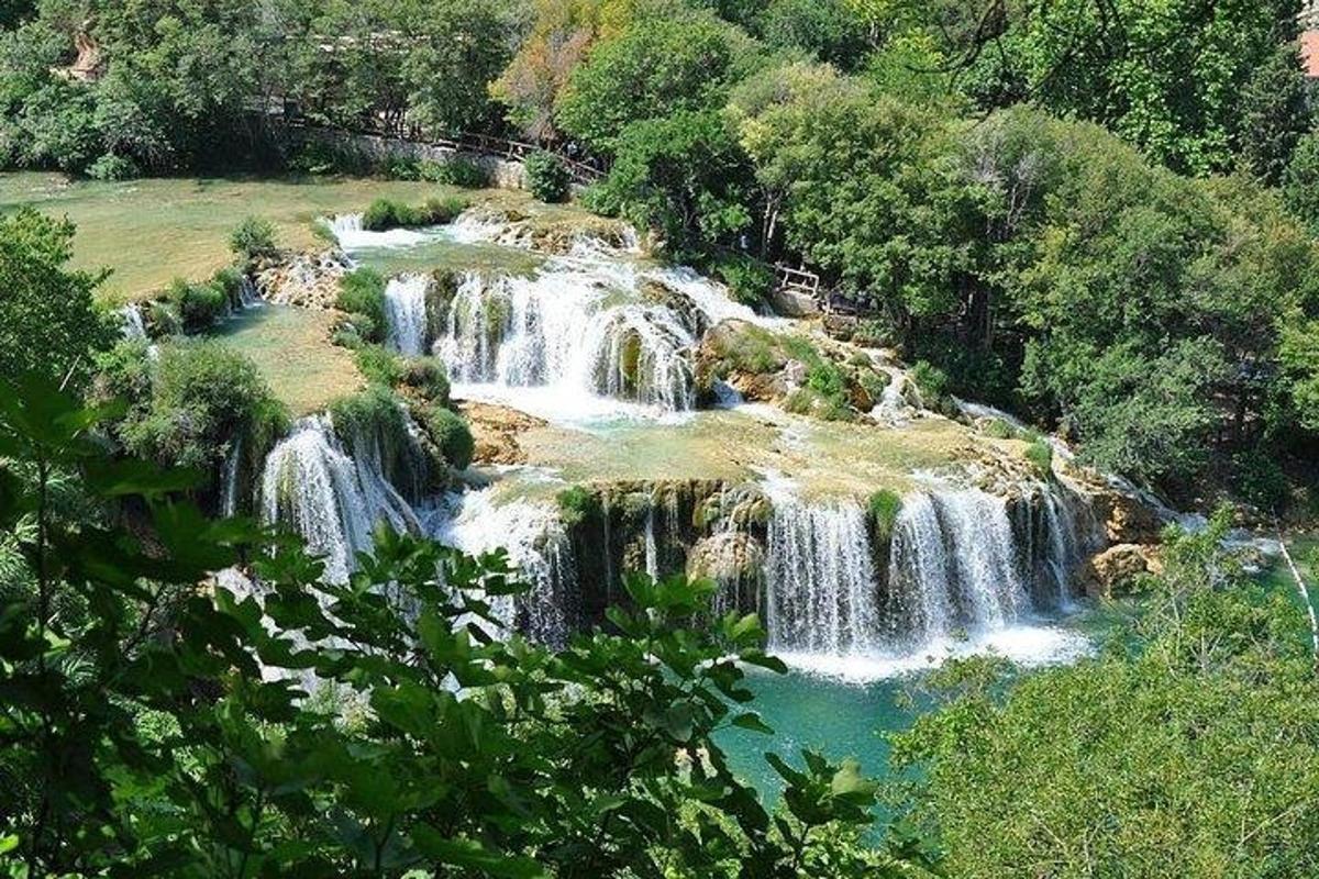 a group of waterfalls in a river with trees