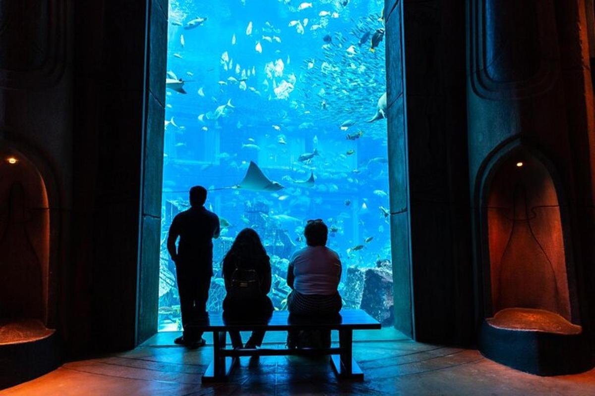 drei Personen sitzen auf einer Bank und schauen sich ein Aquarium an