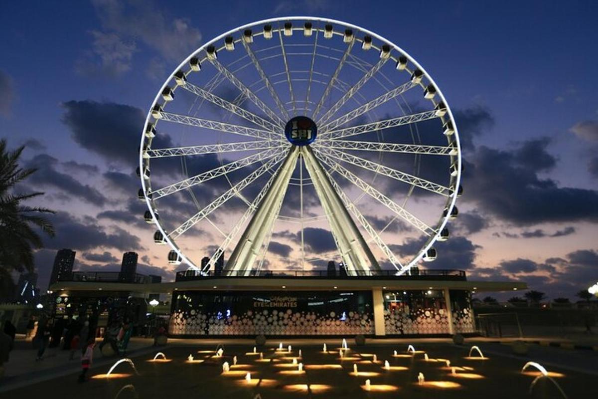 a large ferris wheel in a park at night