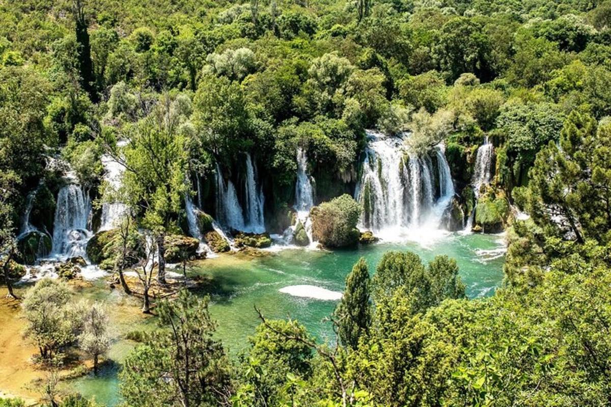 una cascata in mezzo a una foresta