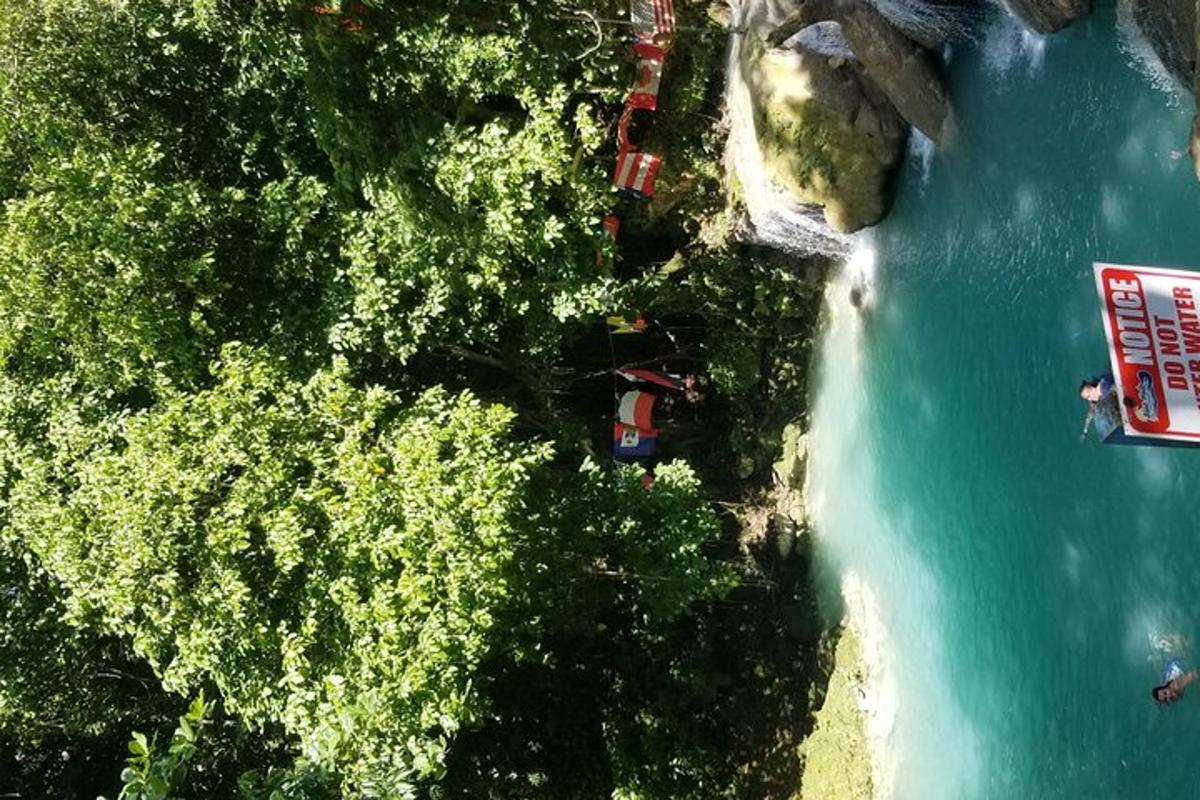 Una vista aérea de un río con árboles y agua.