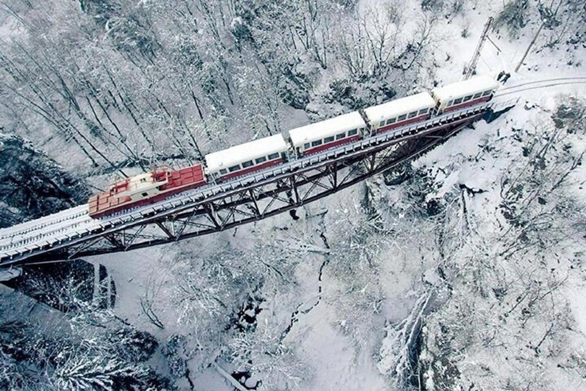un treno su un ponte sopra una montagna coperta di neve