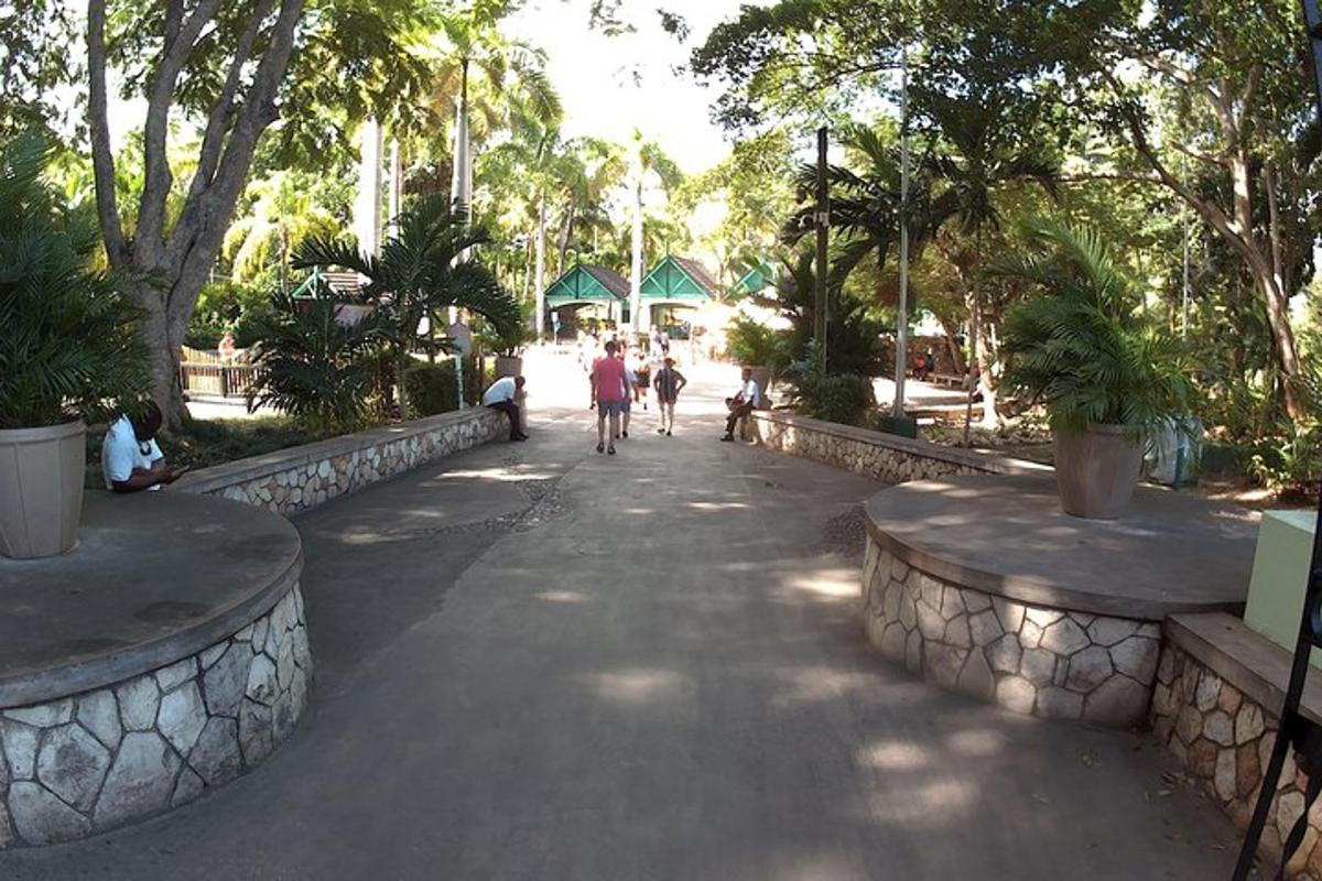 people walking down a path in a park with trees