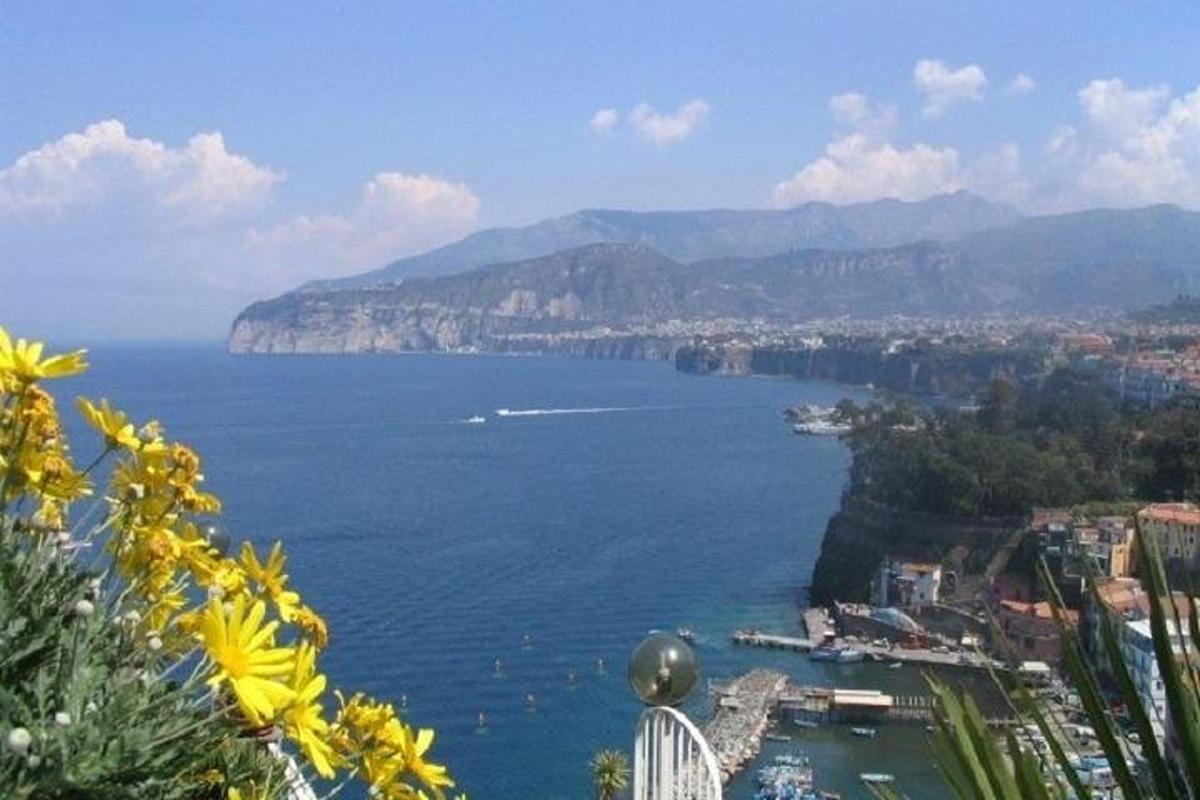 uma vista de um grande corpo de água com flores amarelas
