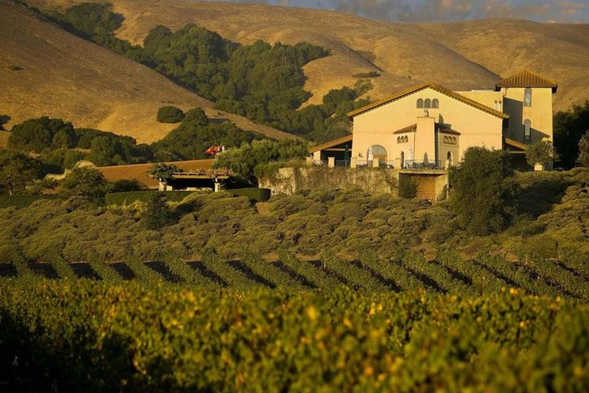 una casa en medio de un campo con un viñedo
