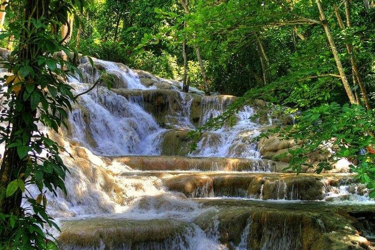air terjun di hutan dengan bebatuan dan pepohonan