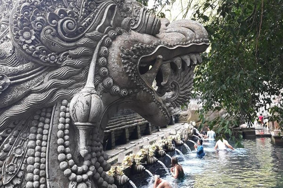um grupo de pessoas nadando em uma fonte de água