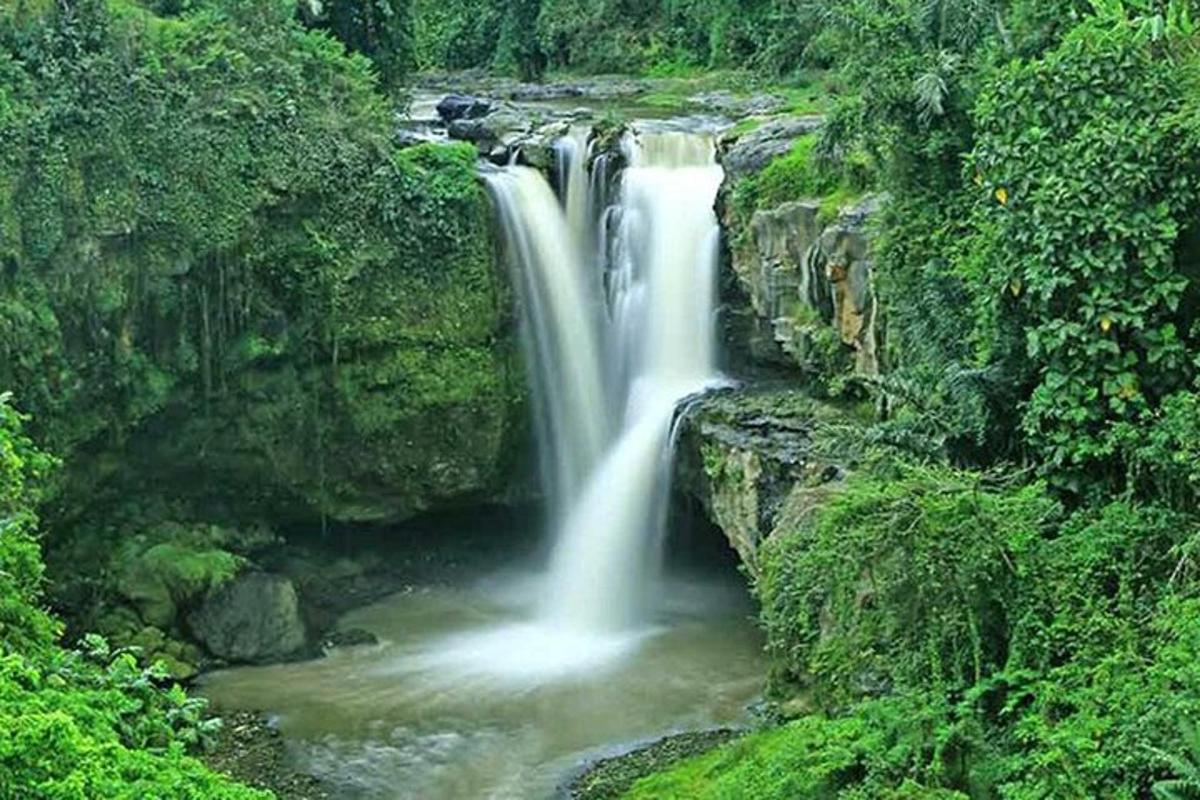 una cascada en medio de un río