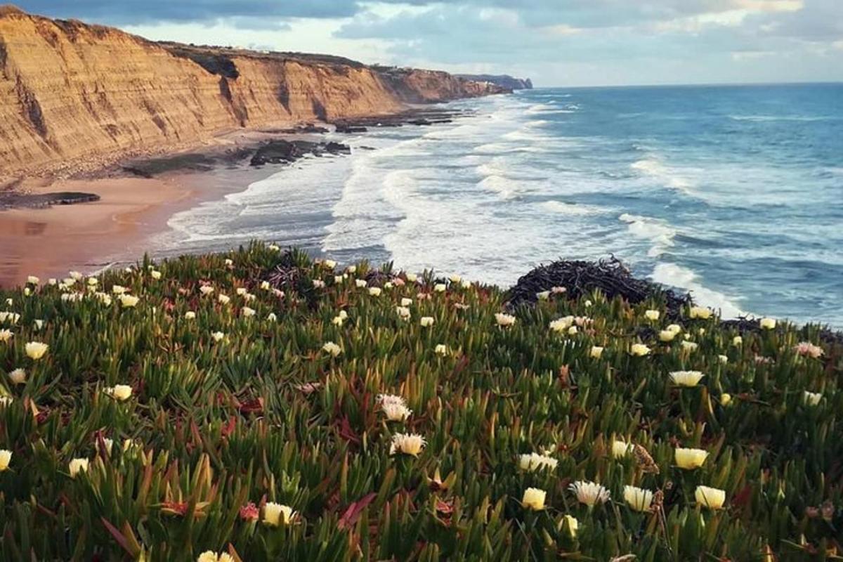 et blomsterfelt på siden av en strand