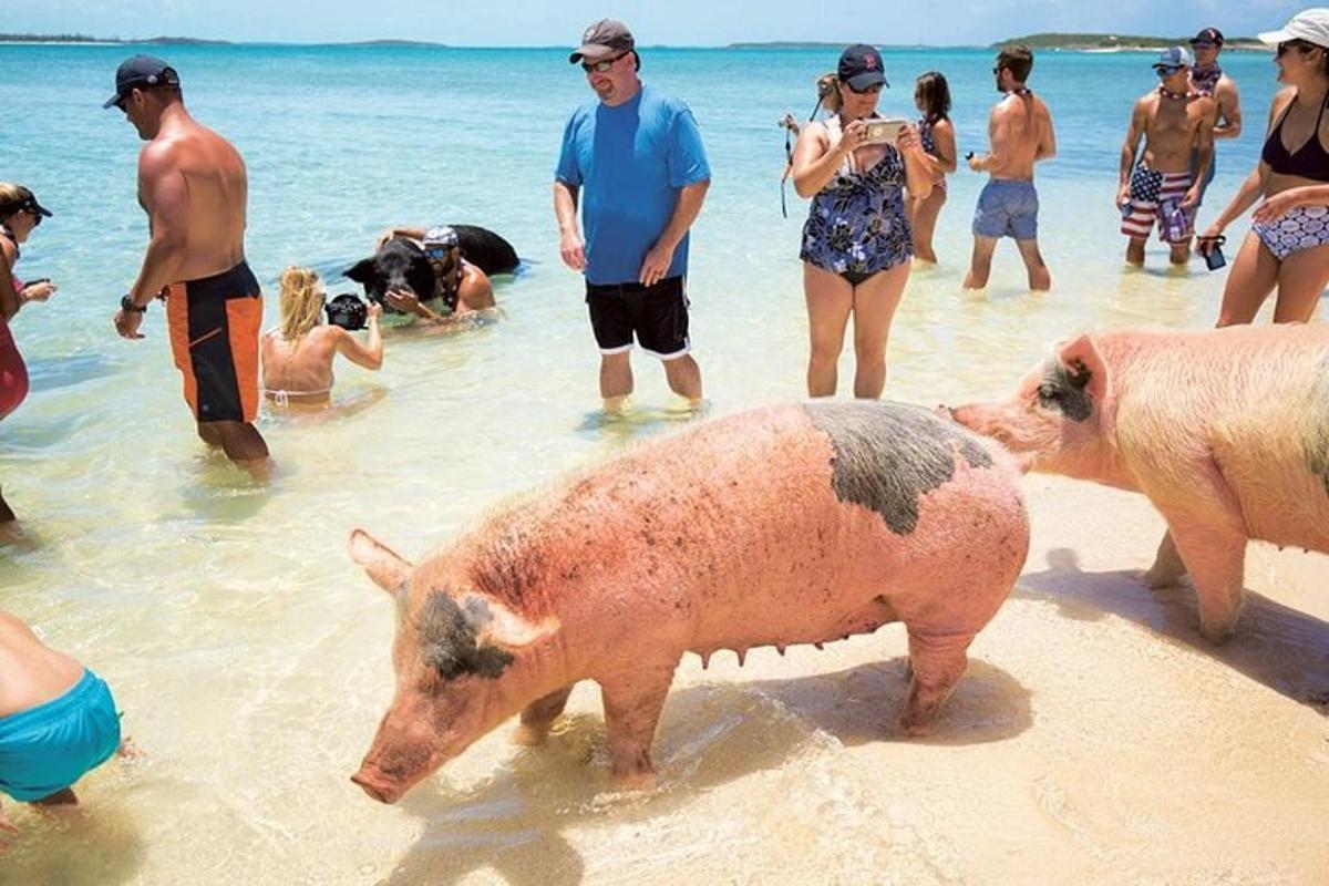 Fotografia da atração 2