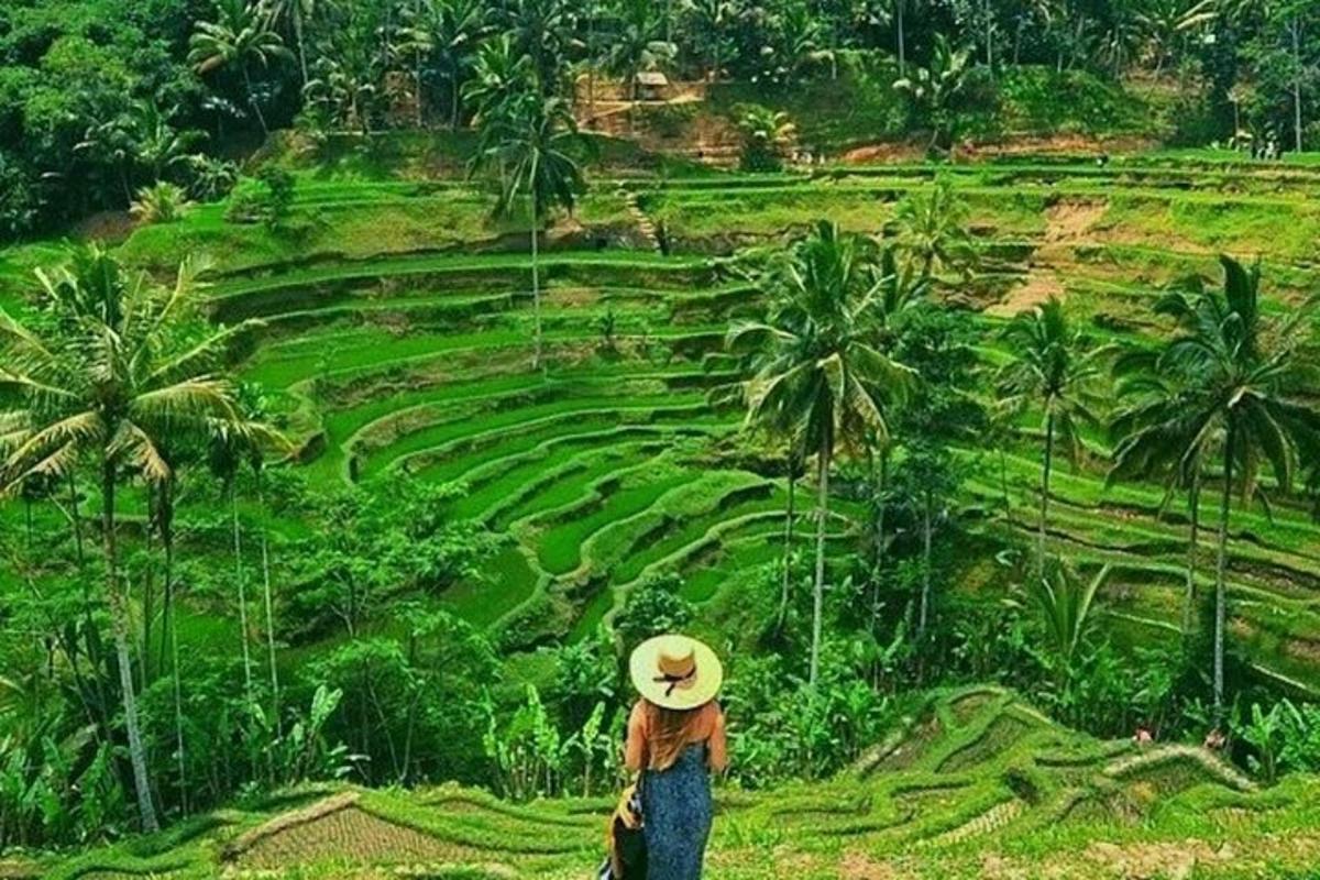 một người đội mũ rơm đang nhìn vào một cánh đồng xanh