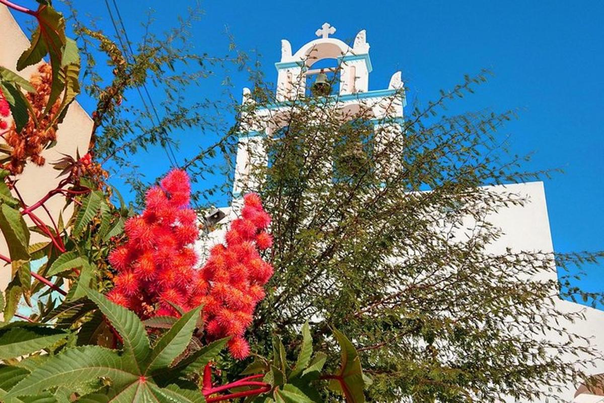 un albero con fiori rossi davanti a un edificio