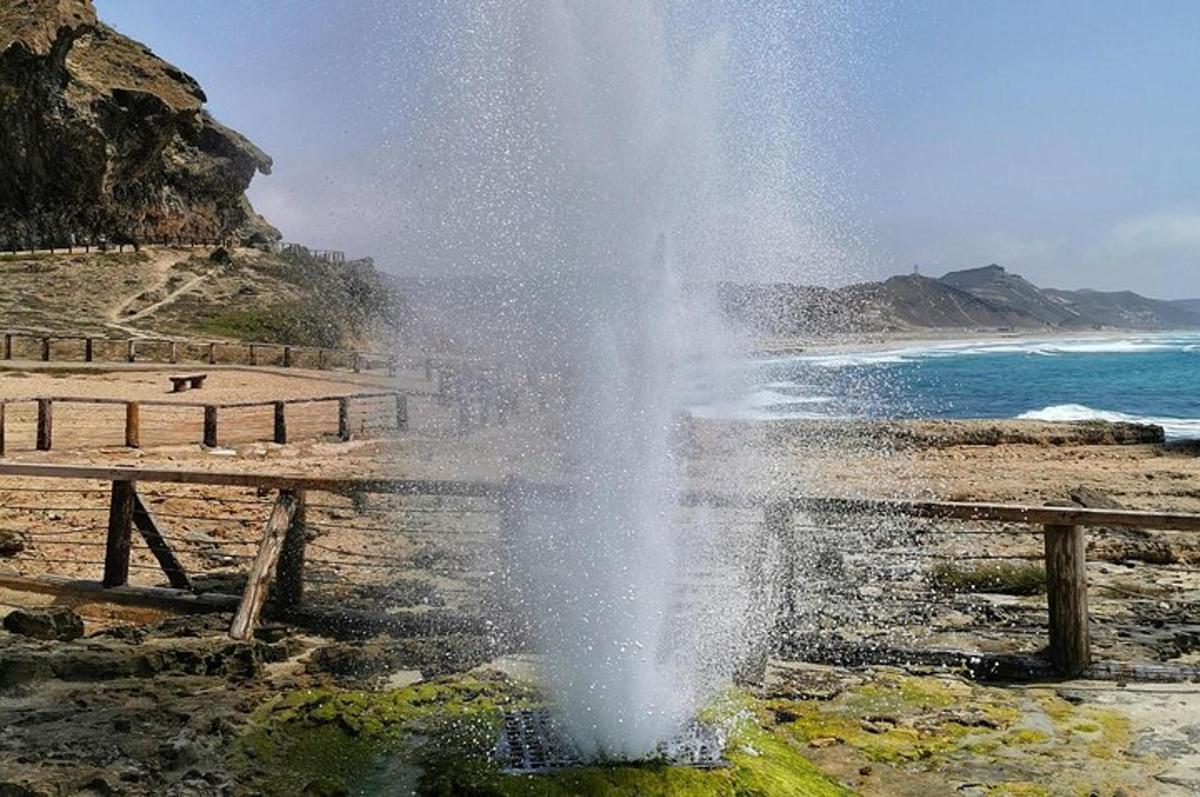 Lankytinos vietos ar pramogos nuotrauka numeris 7