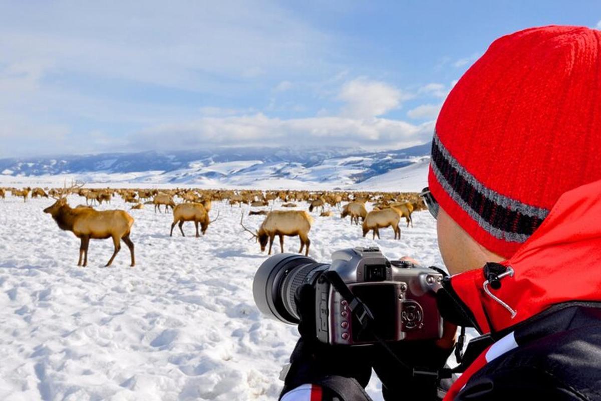 Fotografie atrakce č. 3