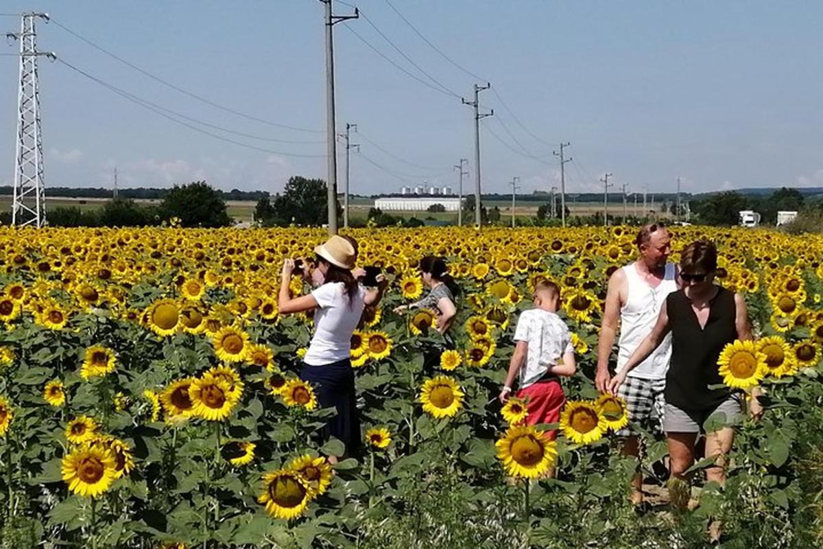 Fotografia 3 a atracției