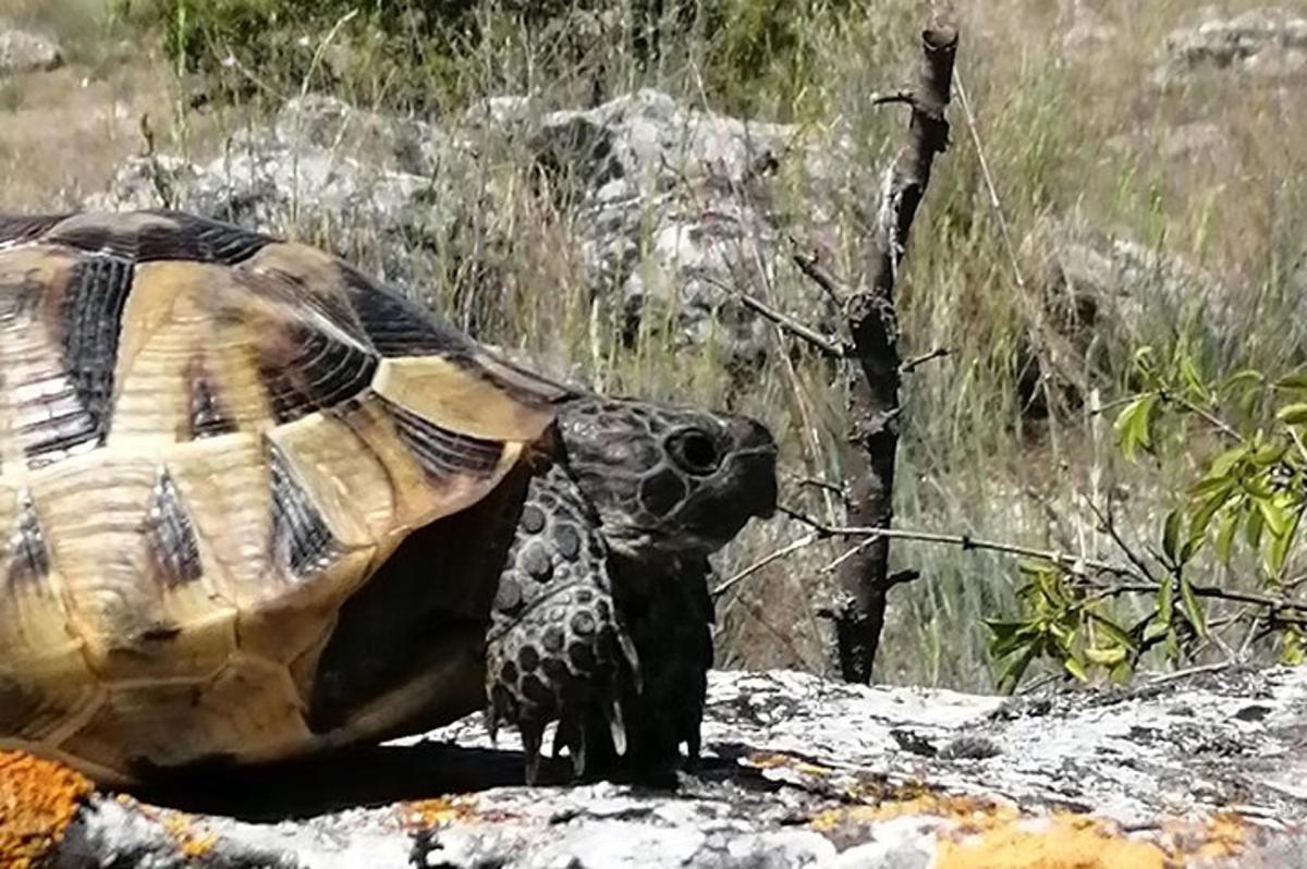 Fotografia da atração 4