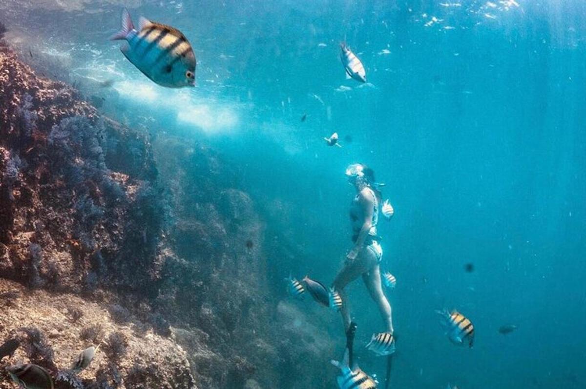 una persona sta nuotando nell'oceano con i pesci