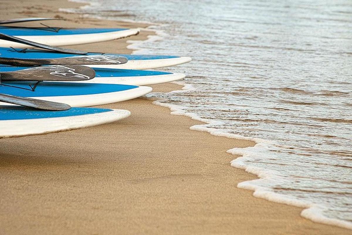 vrsta desk za surfanje, razporejenih po vrsti na plaži