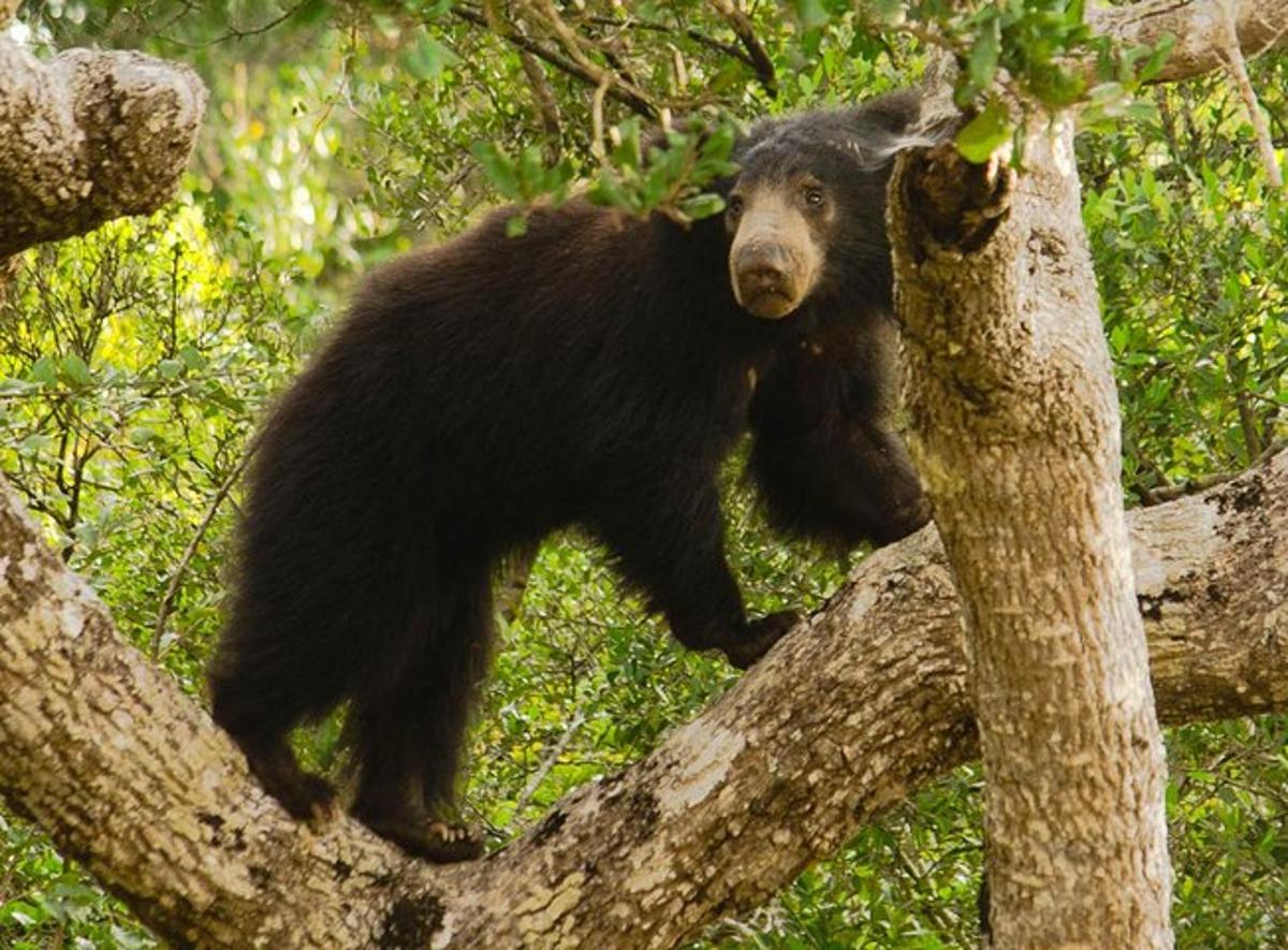 Lankytinos vietos ar pramogos nuotrauka numeris 4