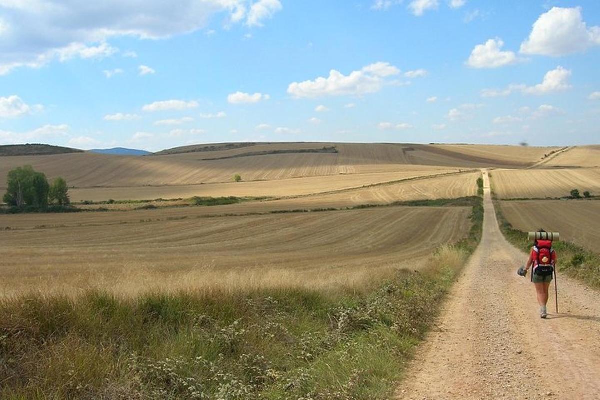 Fotografia da atração 3