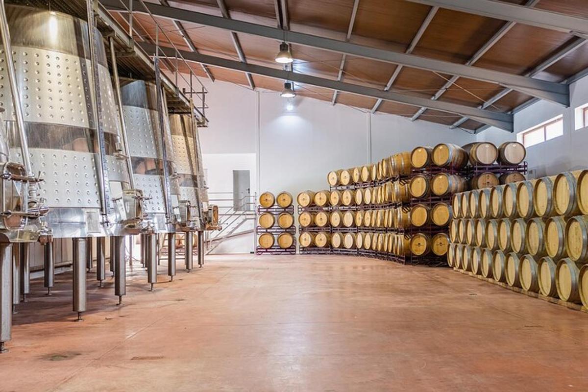 una grande stanza con un mucchio di botti di vino