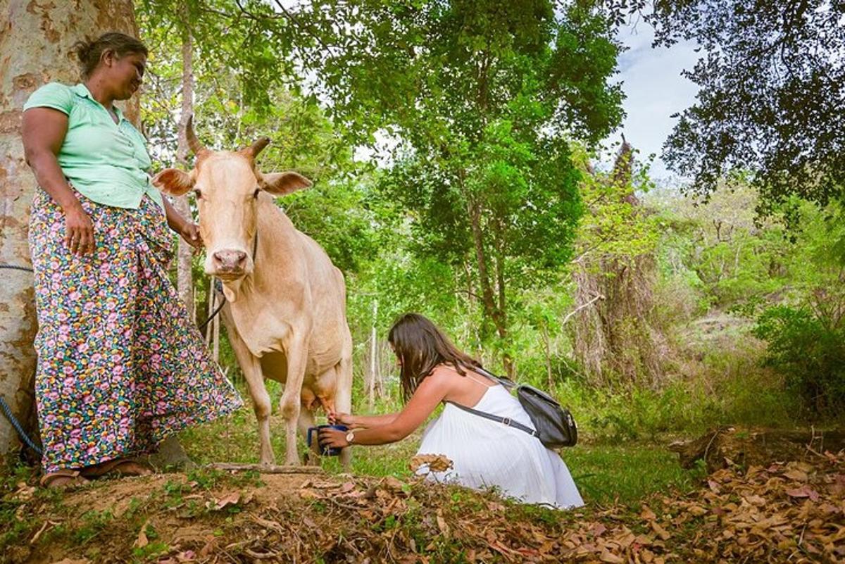 Fotografia da atração 1