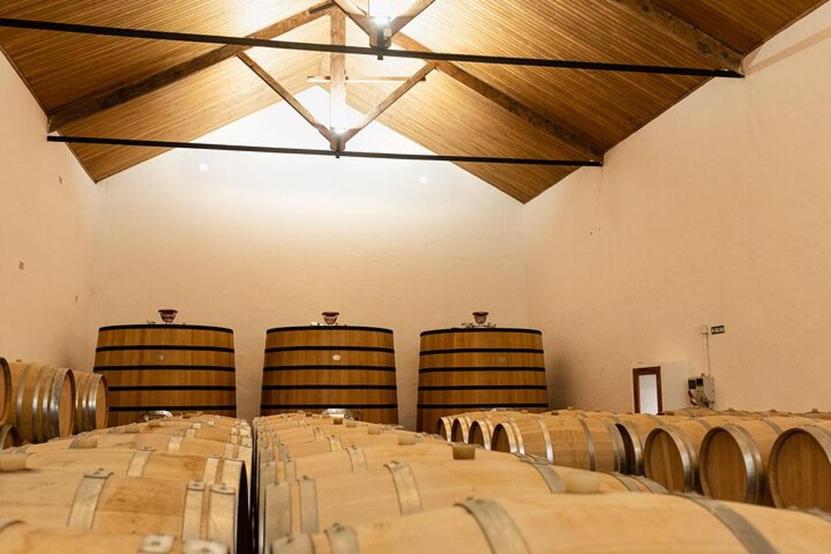 una stanza con un mucchio di botti di vino dentro