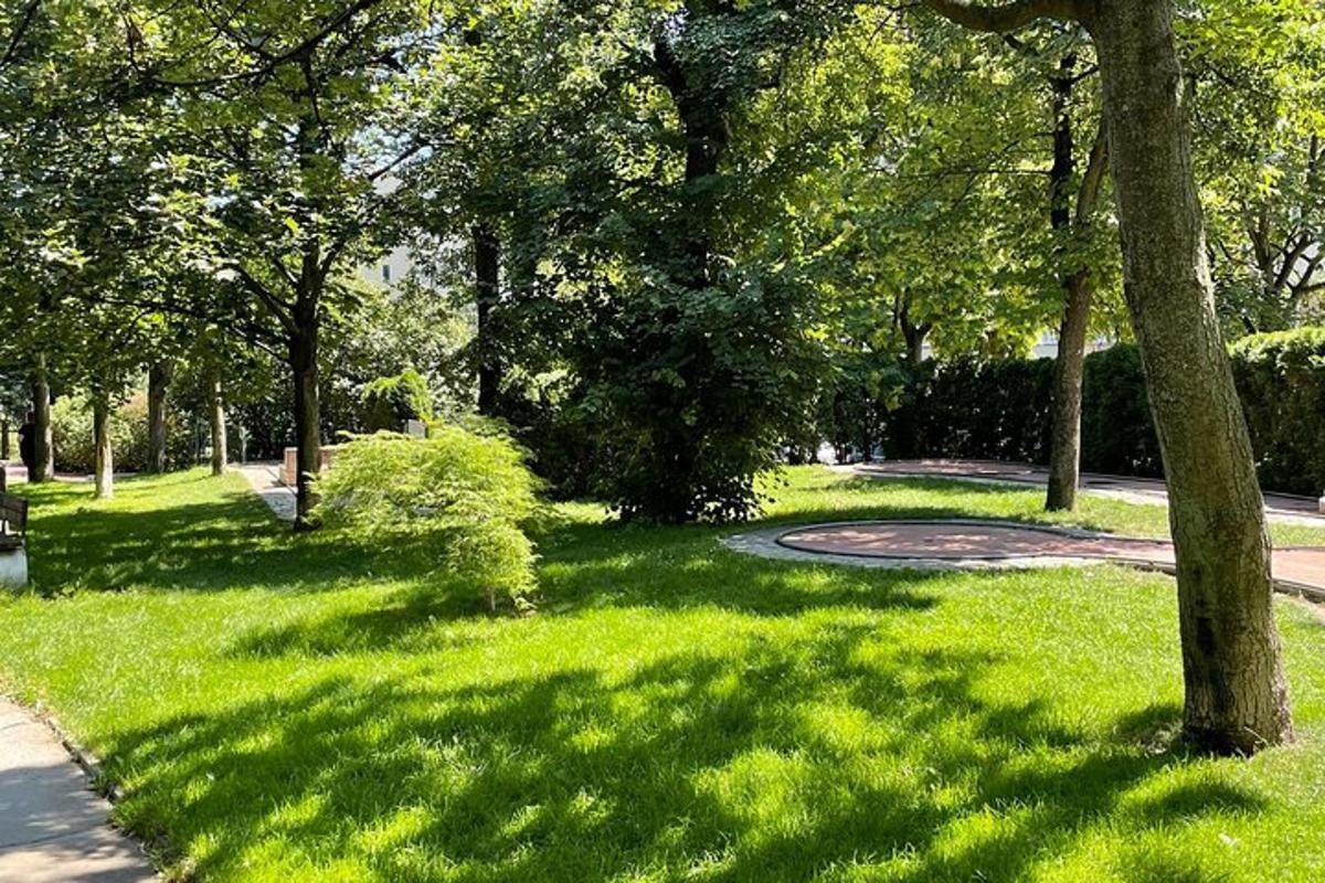 park rohelise rohu, puude ja rajaga