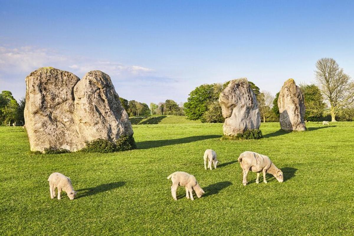 Un grupo de ovejas pastando en un campo con grandes rocas