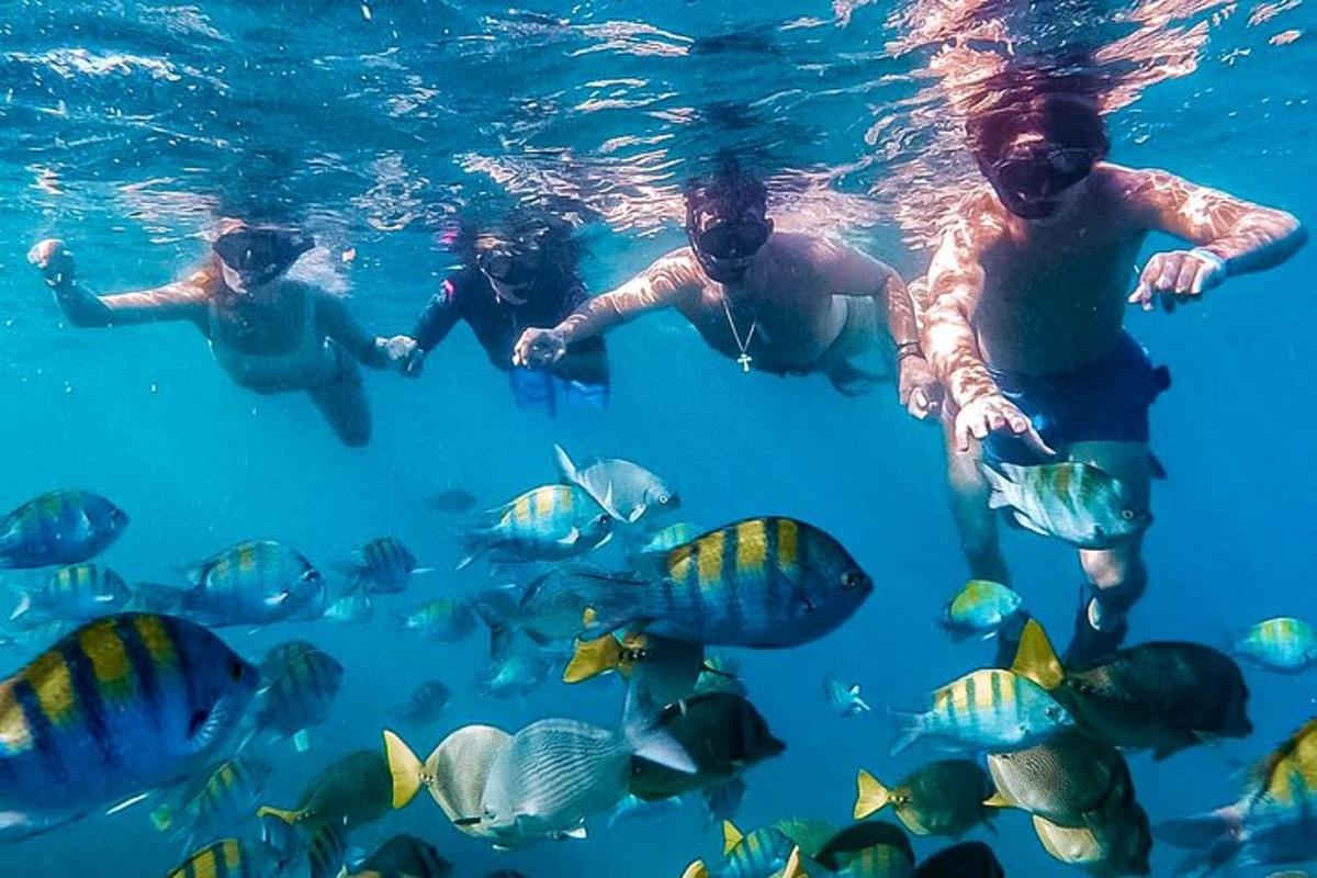 un gruppo di persone che nuotano nell'acqua con i pesci