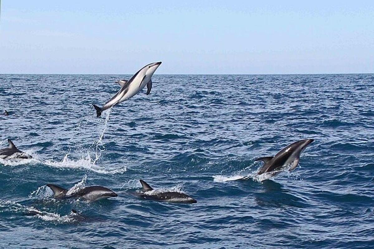 Lankytinos vietos ar pramogos nuotrauka numeris 2