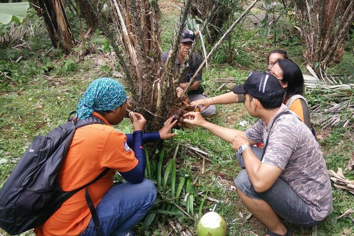 een groep mensen die een boom in het bos plant